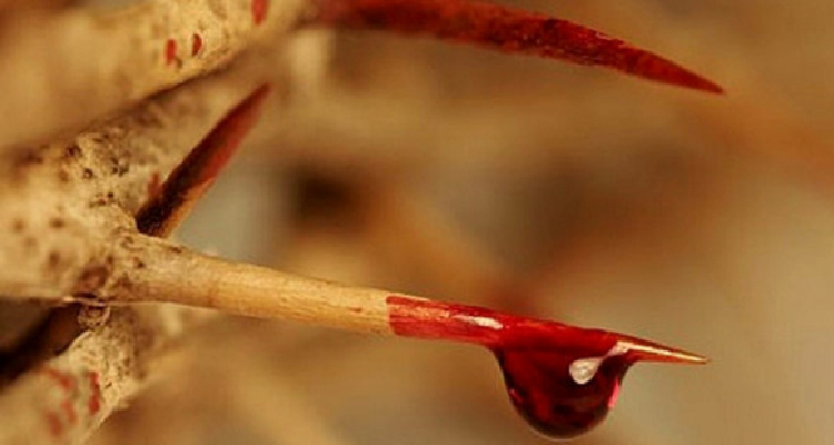 Ecco come chiedere una Grazia tramite la Potenza del Sacro Sangue di Gesù
